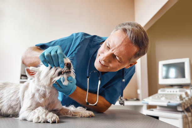 Best Same-Day Dentist Appointment  in Crystal Springs, MS